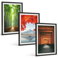 BILDER SET 3er Set - 40x60 cm Schwarzer Rahmen - Fuji-Bambuswaldlandschaft - Schwarz, Kunststoff (40/60cm) - TULUP