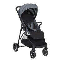 BUGGY Alexa 22 kg grau faltbar, Rückenlehne verstellbar, Gurt - Grau, Metall (72/51/101cm) - Kikka boo