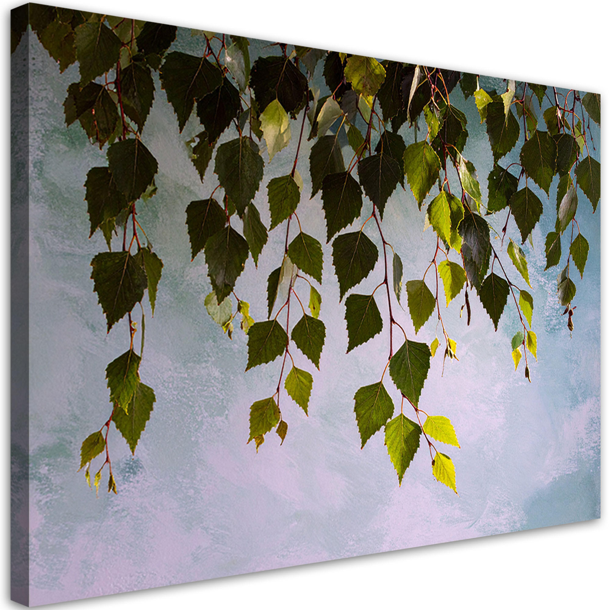 WANDBILD, Grüne Birkenblätter Natur Pflanzen - Grün, Textil (120/80cm) - Feeby