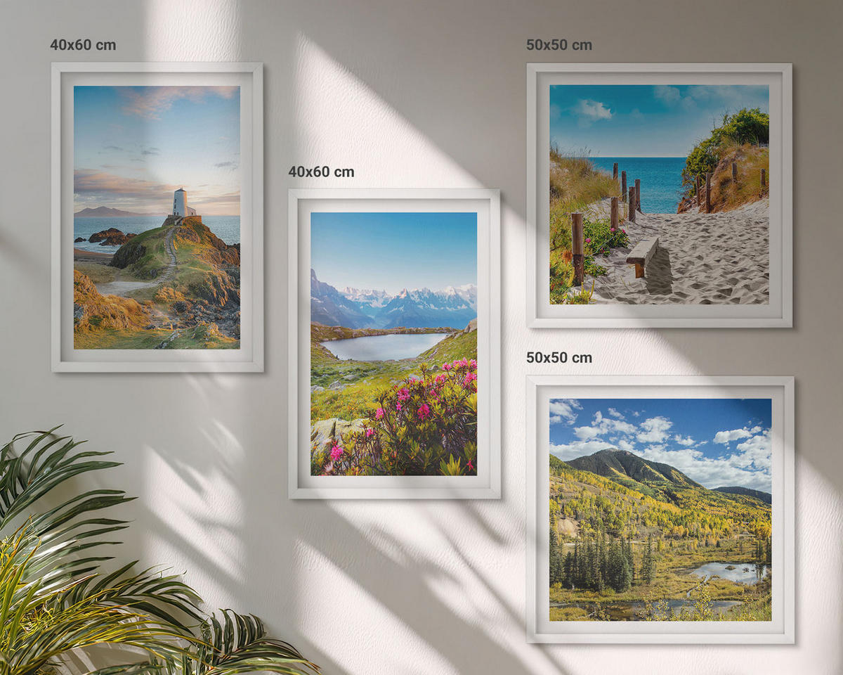 WANDBILDER 4er-Set - 50x50 cm & 40x60 cm Weißer Rahmen - Strand, Leuchtturm, Berge, Wiesen, Blumen - Weiß, Kunststoff (50/50cm) - ArtPrintCave