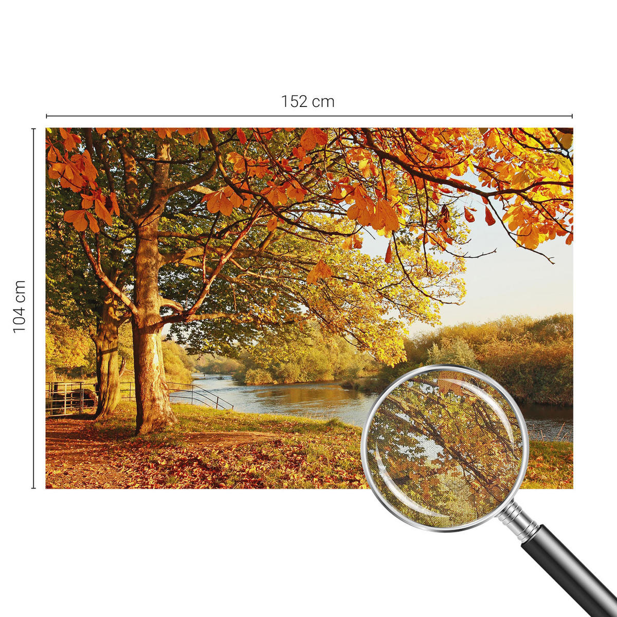 FOTOTAPETE 152x104 cm - Küstenherbst - Gelb, Textil (152/104cm) - Wallfluent