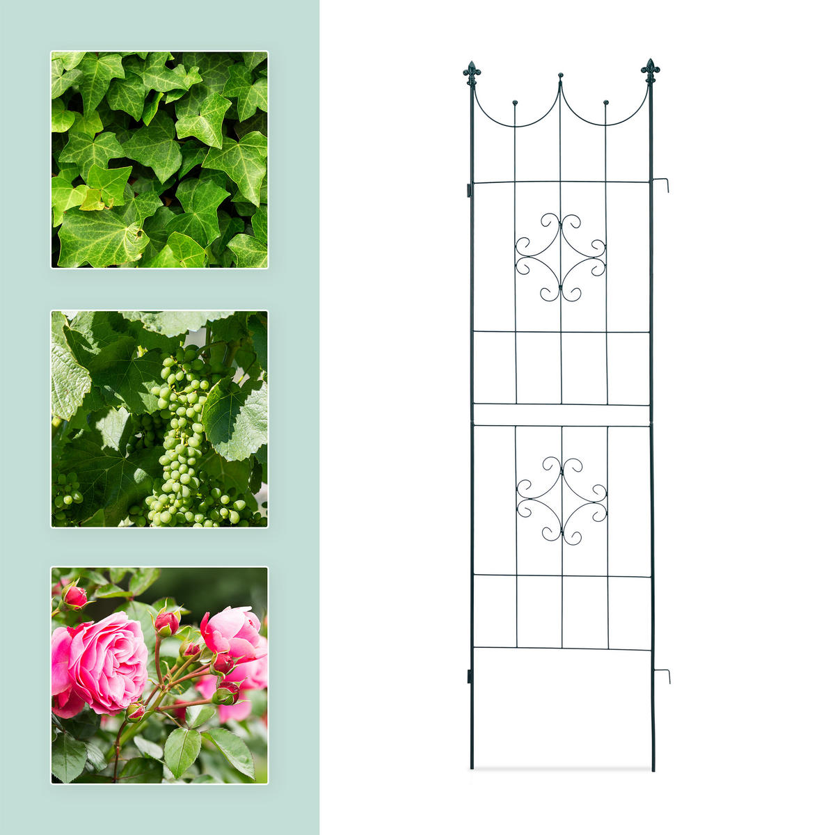 2XRANKGITTER - Dunkelgrün, Metall (50/180/1.5cm) - Relaxdays