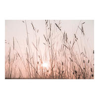 FOTOTAPETE Ein traumhafter Sommerabend 288/190 cm - Eichefarben, Papier (288/0.1cm) - Bilderwelten