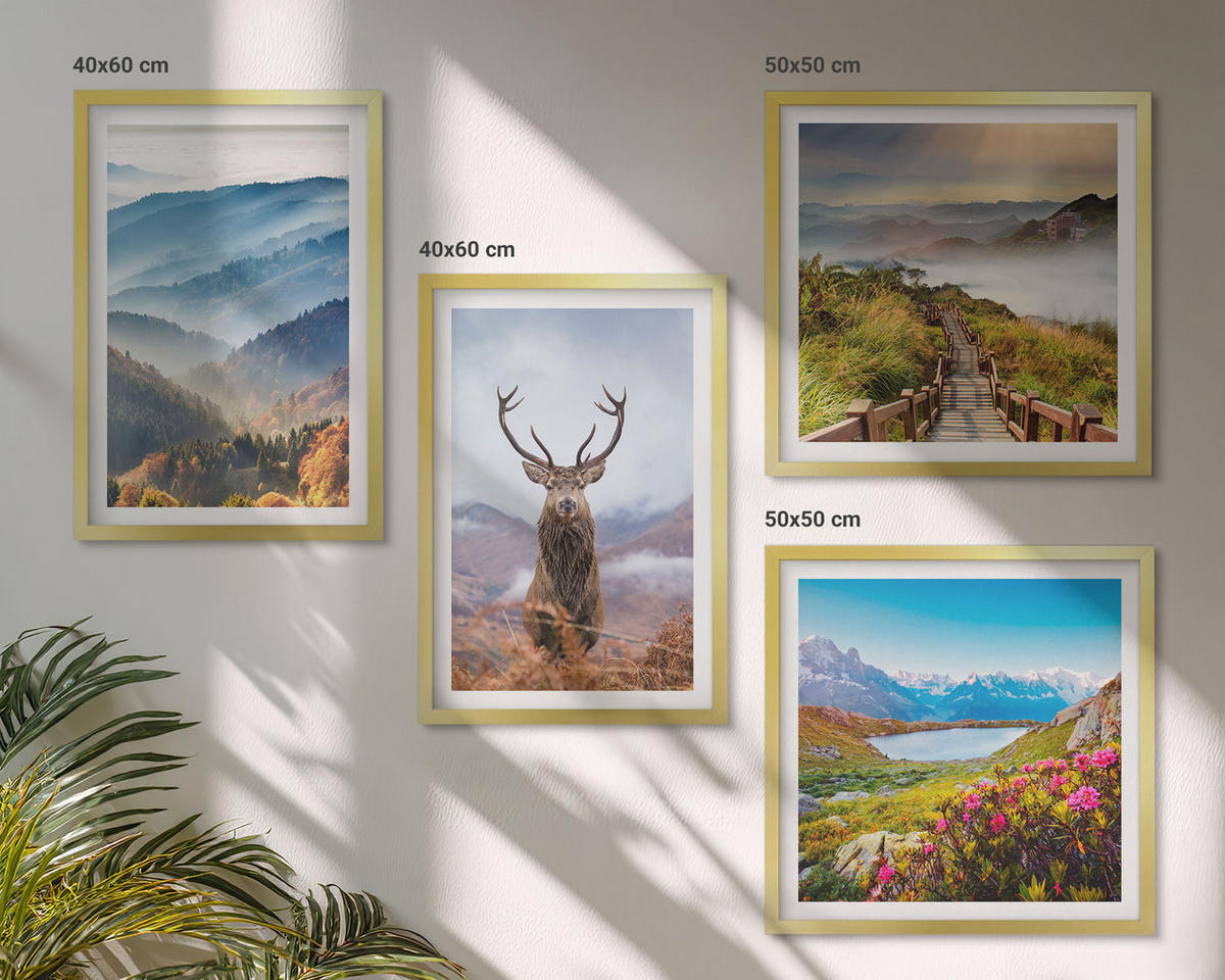 WANDBILDER 4er Set - 50x50 cm & 40x60 cm Goldrahmen - Berglandschaft, See, Hirsche - Goldfarben, Kunststoff (50/50cm) - ArtPrintCave