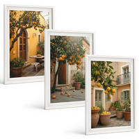 BILDER SET 3er Set - 40x60 cm Weißer Rahmen - Garten-Zitrus-Sonne - Weiß, Kunststoff (40/60cm) - TULUP
