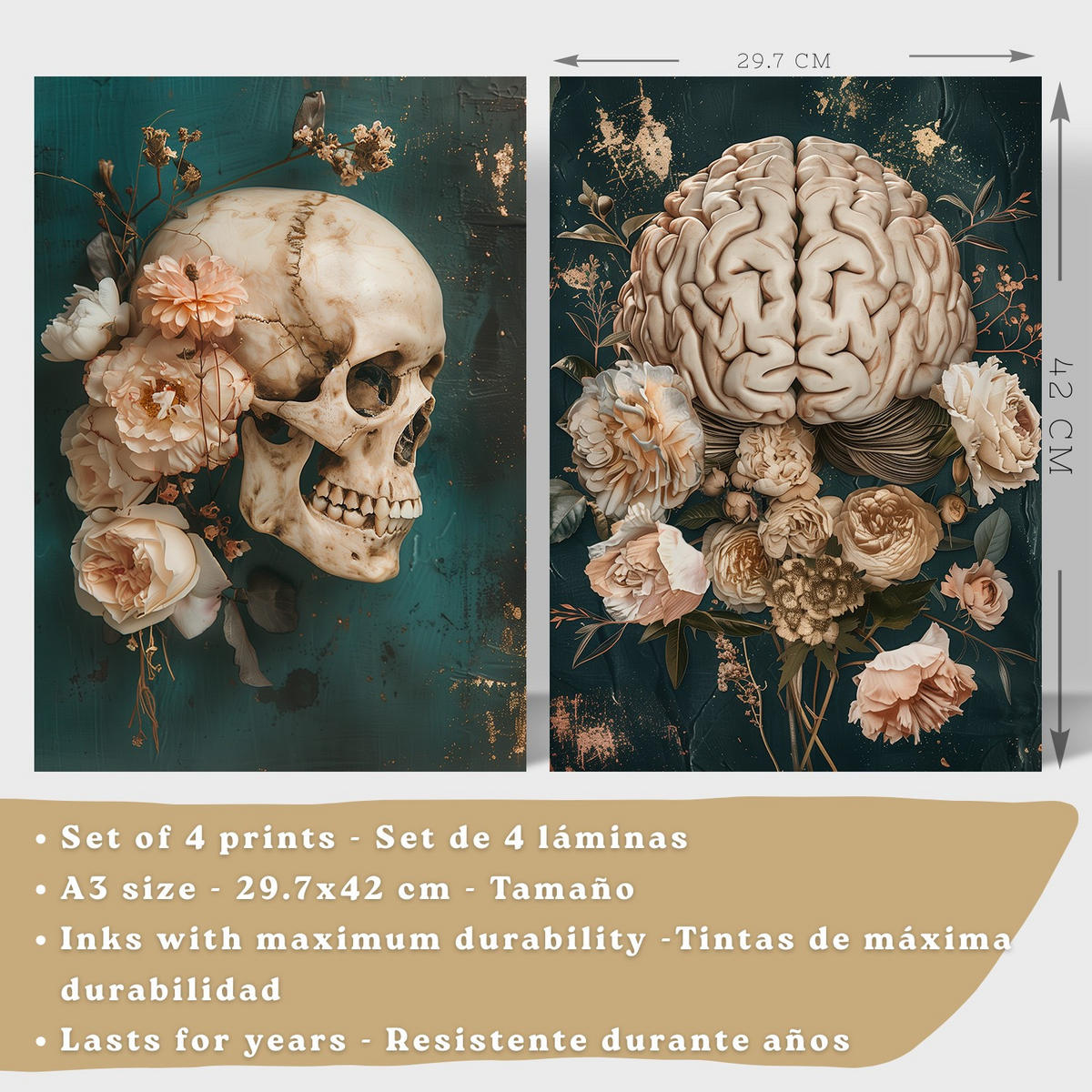 POSTER Set aus 4 Anatomie Mensch Drucke und Wandbilder mit Schädel Gehirn Lungen Luftröhre Bronchien Becken Wirbelsäule Florales Größe Rahmenlos A3 - Klar, Papier (29.7/42/3cm) - Nacnic