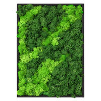 MOOSBILD Rechteck 38 x 27 cm Mooswand Indoor mit Echtem Islandmoos und Holzrahmen Grün Pflegefrei - Hellgrün, Naturmaterialien (27/38/3.5cm) - ECD-Germany