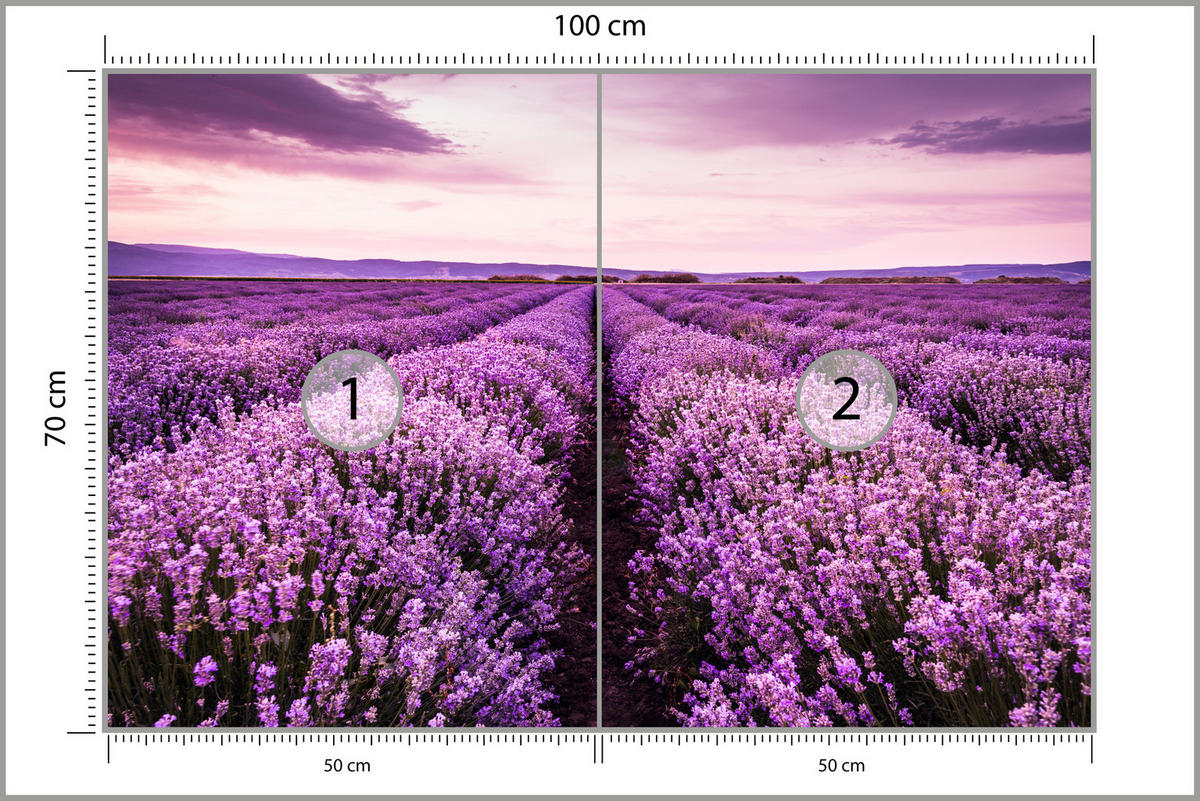 FOTOTAPETE für Schlafzimmer Lila Lavendel Wiese Harmonisch Romantisch 100x70 - Violett/Lila, Papier (100/70cm) - Muralo