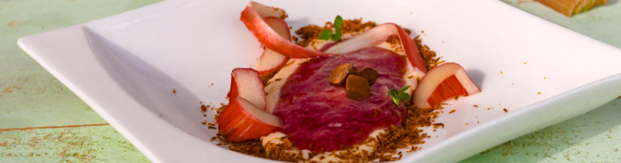 XXXLecker-Rhabarbergruetze-mit-echter-Vanillesauce-Header
