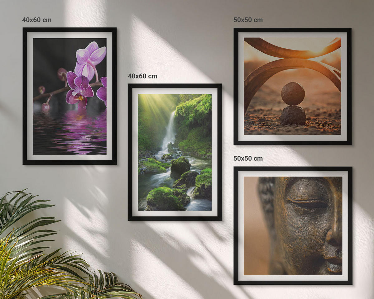 BILDER SET 4er Set - 50x50 cm & 40x60 cm Schwarzer Rahmen - Blumen im Wasser des Buddha-Wasserfalls - Schwarz, Kunststoff (50/50cm) - TULUP