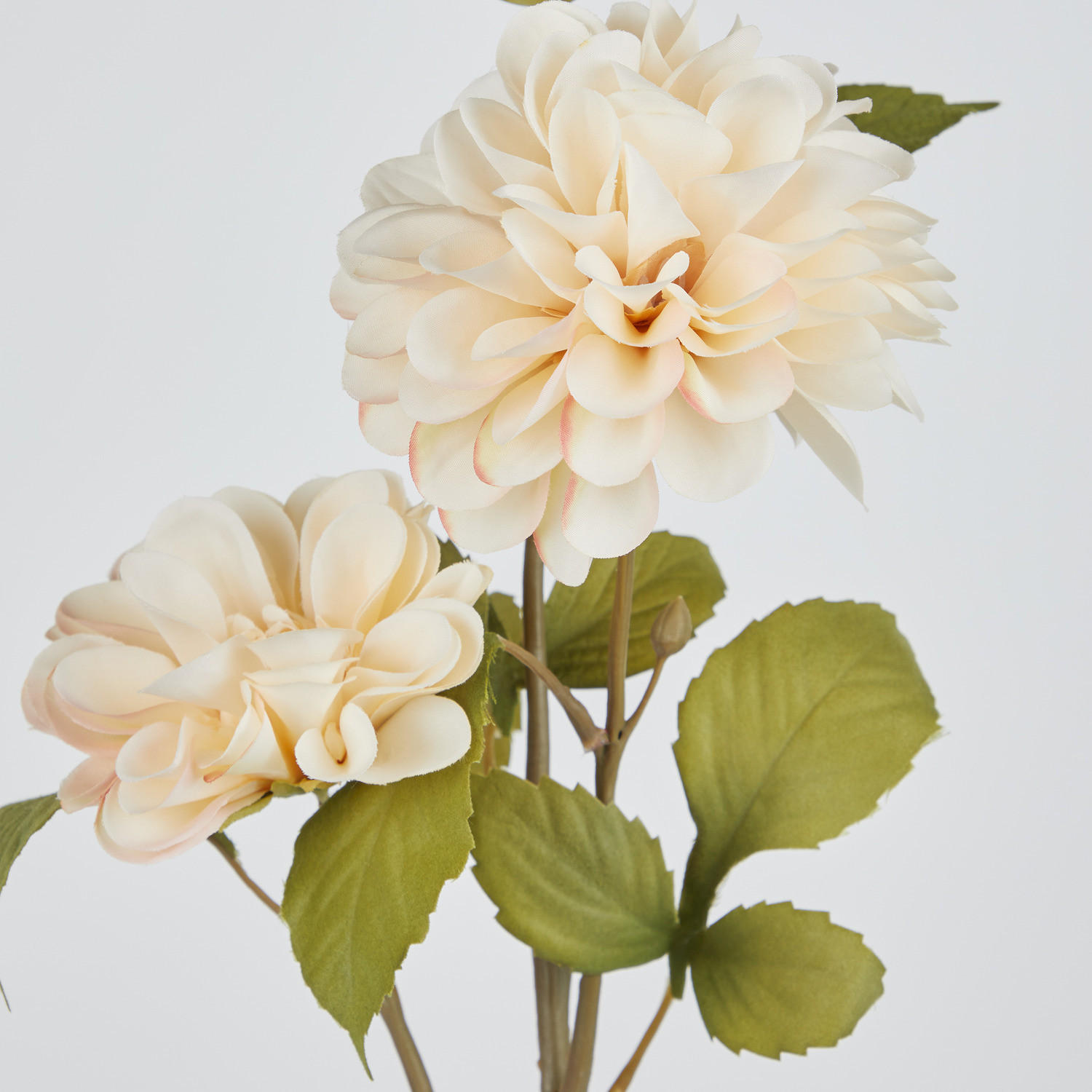 KUNSTBLUME Florista Chrysamtheme - Beige, Kunststoff (63cm) - Butlers