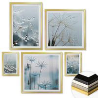 WANDBILDER 5er Set - 50x50 cm & 20x30 cm & 40x60 cm Goldrahmen - Wassertropfen auf Löwenzahnsprossen - Goldfarben, Kunststoff (40/60cm) - ArtPrintCave