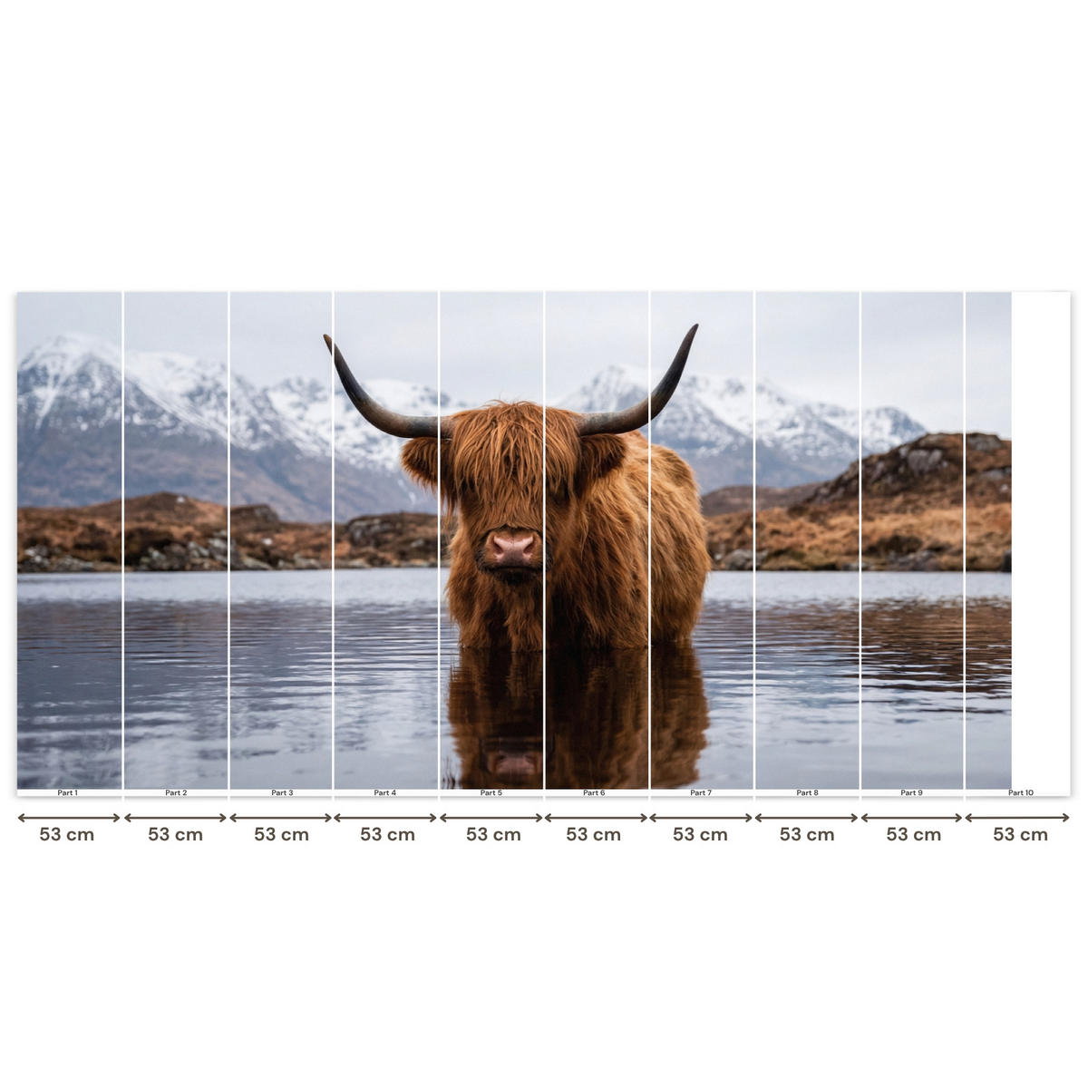 TAPETE - Schottischer Hochländer - Braun - Wasser - 500x260 cm - Braun, Papier (500/260cm) - OnlyWow