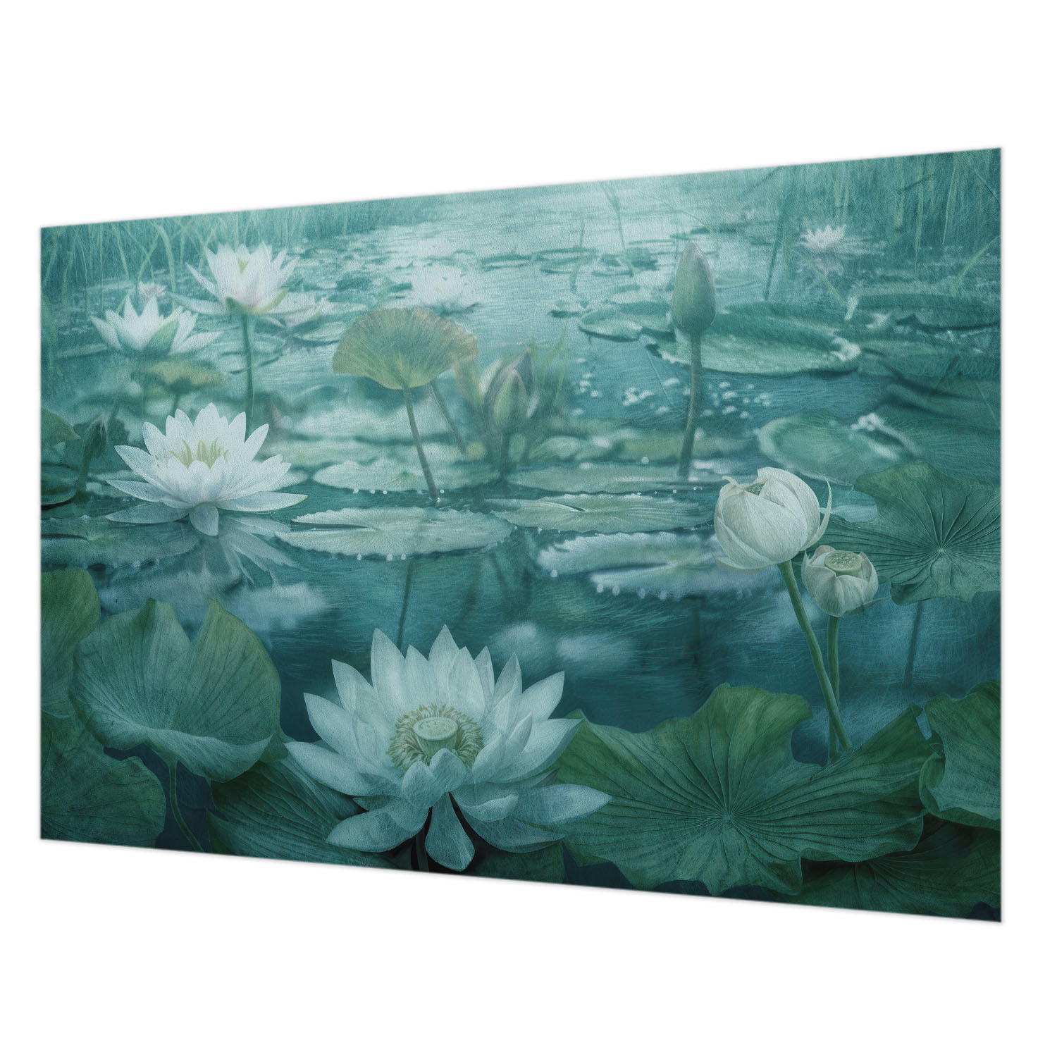 FOTOTAPETE 152x104 cm - Wasserblumen - Schwarz, Textil (152/104cm) - Wallfluent