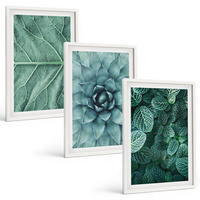 BILDER SET 3er Set - 40x60 cm Weißer Rahmen - Nahaufnahme von Pflanzenblättern - Weiß, Kunststoff (40/60cm) - TULUP