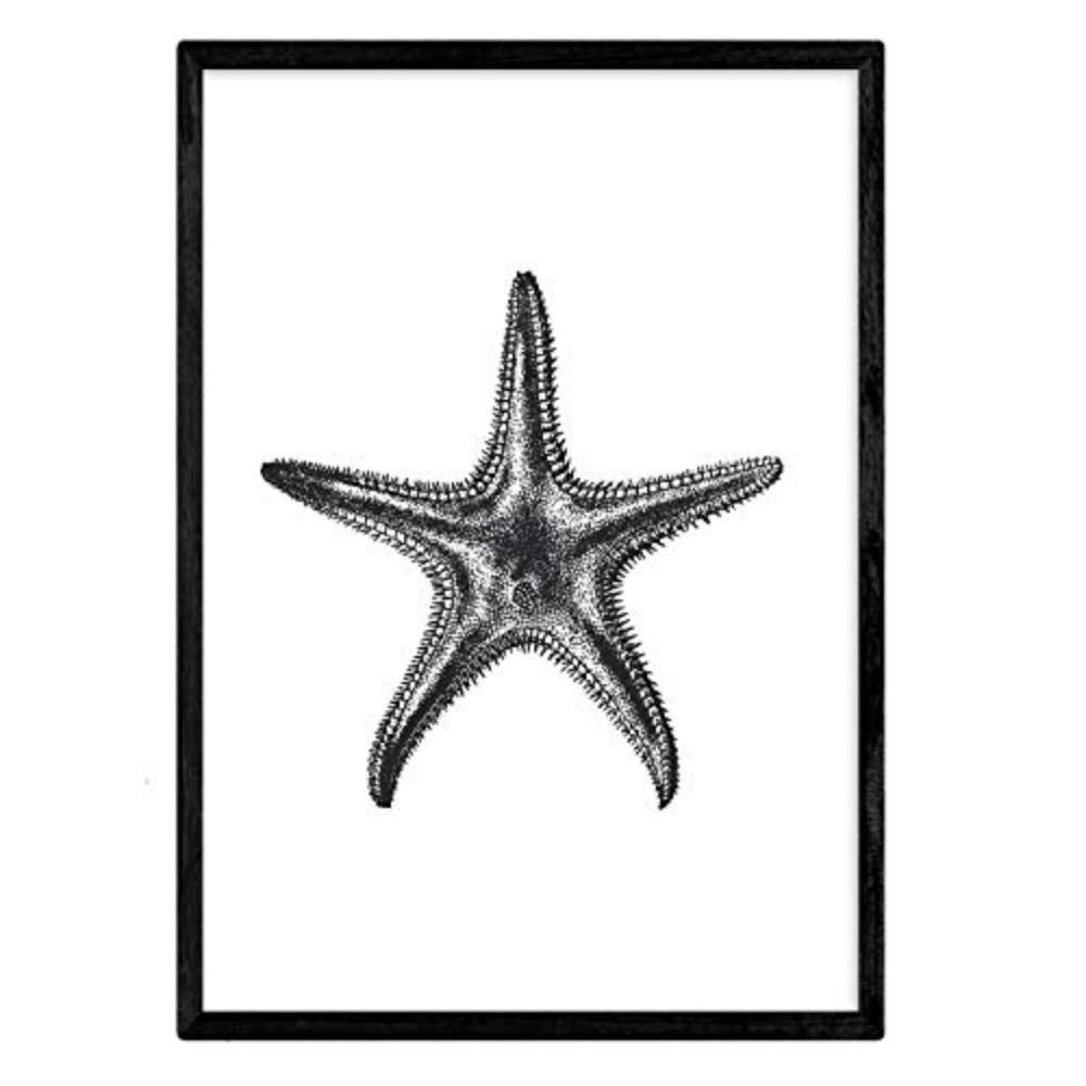 POSTER Animal – Star Foil Design A3 Rahmenlos - Klar, Papier (29.7/5/42cm) - Nacnic