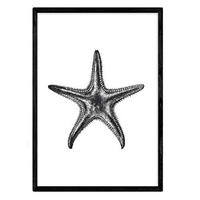 POSTER Animal – Star Foil Design A3 Rahmenlos - Klar, Papier (29.7/5/42cm) - Nacnic