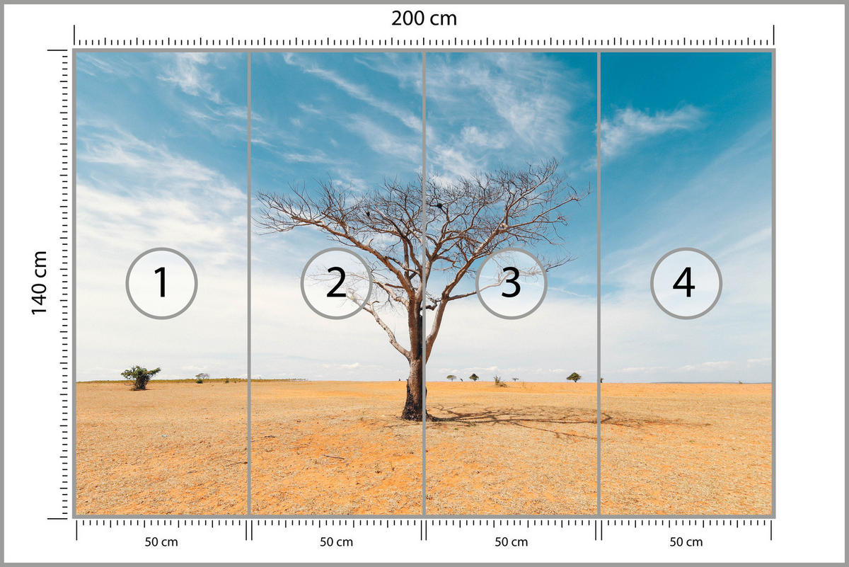 FOTOTAPETE für Wohnzimmer Trockener Baum Wüste Sand 200x140 - Beige/Orange, Papier (200/140cm) - Muralo