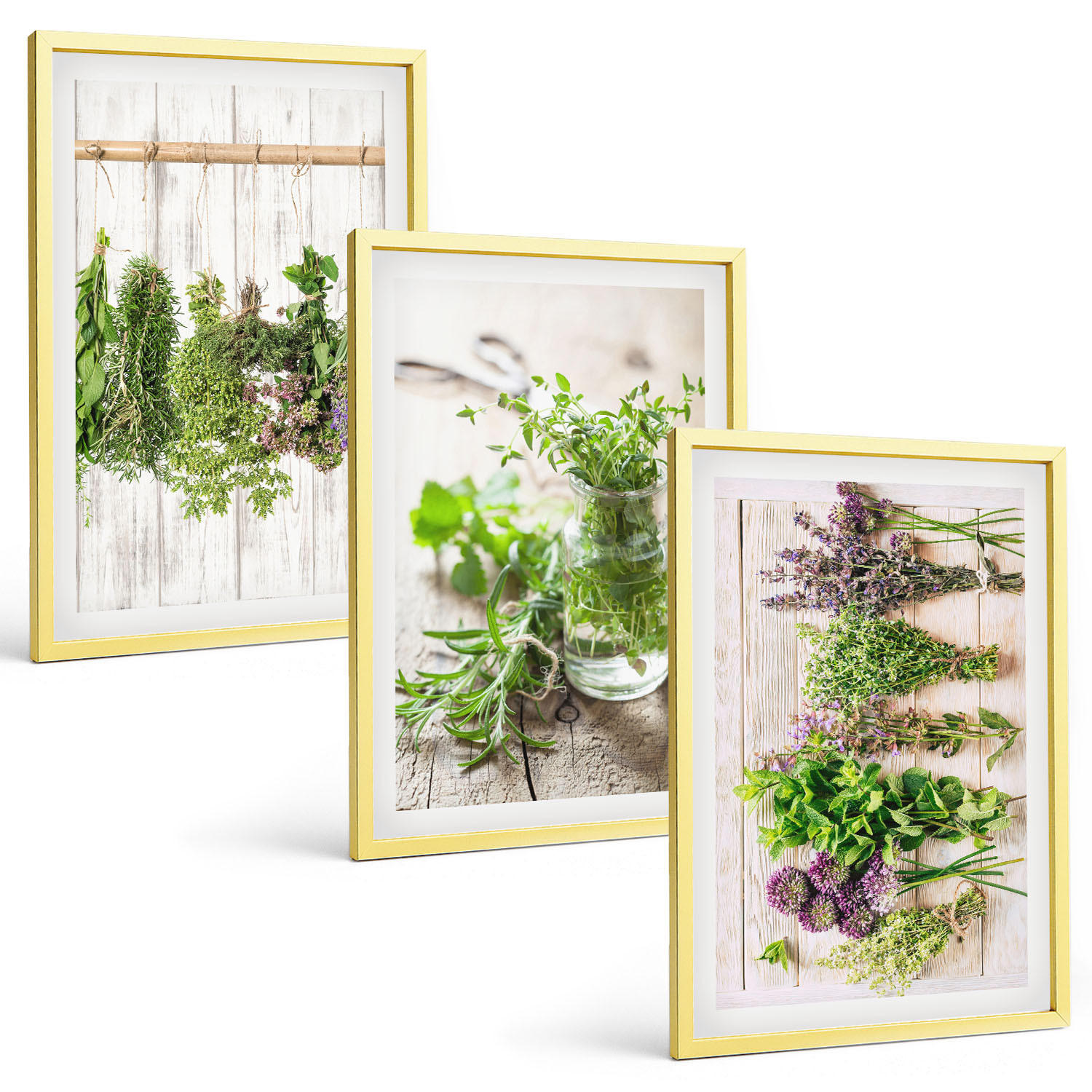 BILDER SET 3er Set - 40x60 cm Goldrahmen - Kräuterpflanzen für die Küche - Goldfarben, Kunststoff (40/60cm) - TULUP