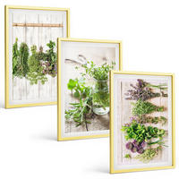 BILDER SET 3er Set - 40x60 cm Goldrahmen - Kräuterpflanzen für die Küche - Goldfarben, Kunststoff (40/60cm) - TULUP