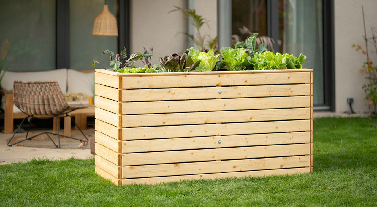 Holz-Hochbeet mit frischem Salat und Gemüse auf Rasen vor einer Terrasse