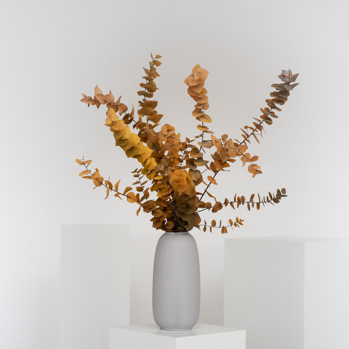 EUKALYPTUS Stuartiana - gelb / 60 - Orange, Naturmaterialien (75cm) - Lykke & You