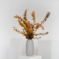 EUKALYPTUS Stuartiana - gelb / 60 - Orange, Naturmaterialien (75cm) - Lykke & You