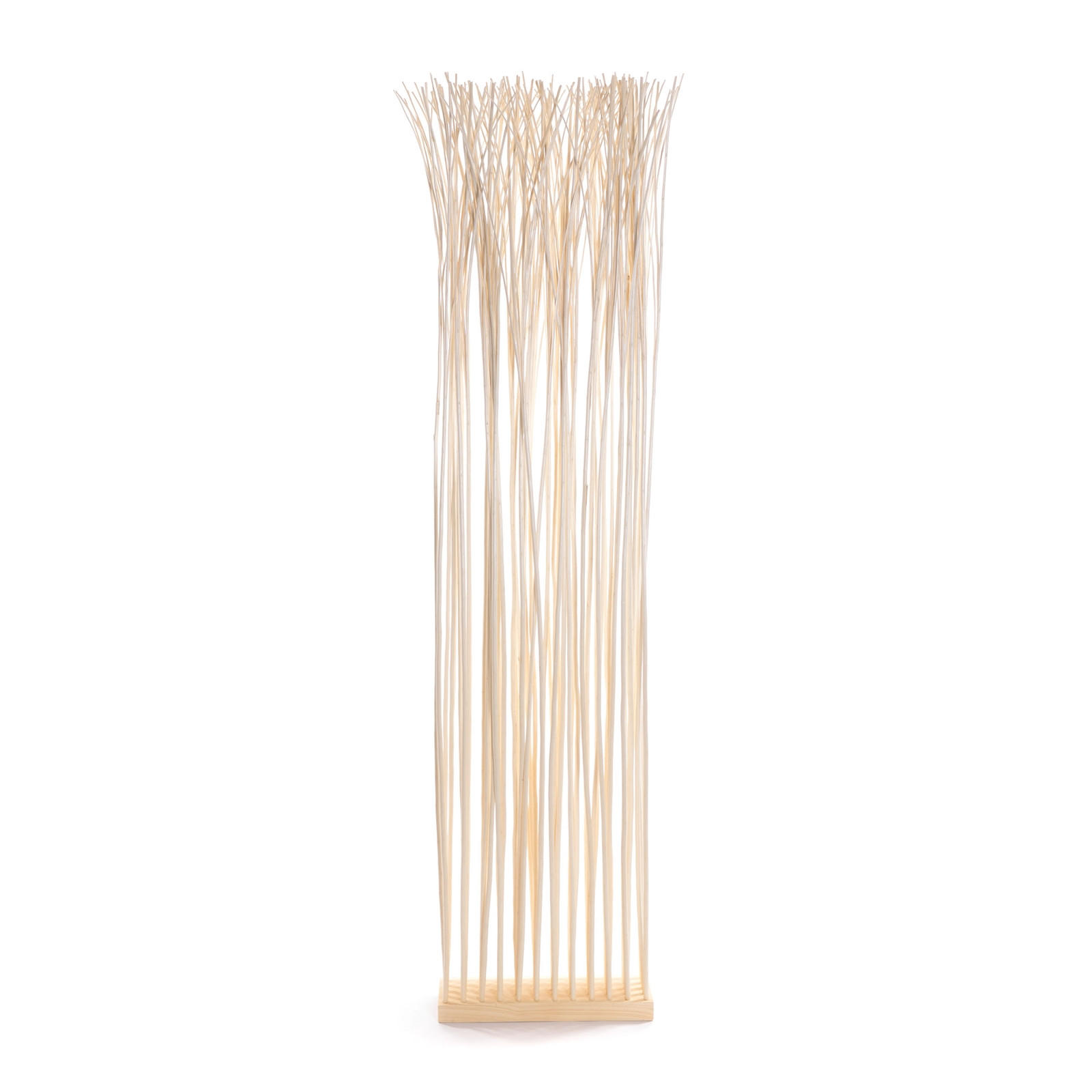RAUMTEILER Slim 170x40 cm, Weidenholz-Zweige geblichen - Beige, Naturmaterialien (40/170/12cm) - DESIGN DELIGHTS