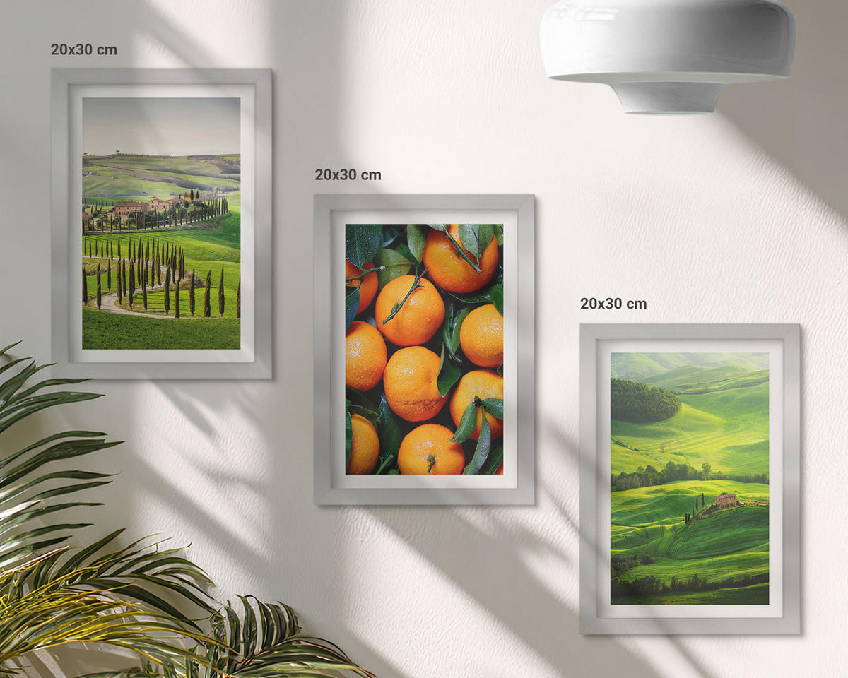 BILDER SET 3er Set - 20x30 cm Silberner Rahmen - Italienische Landschaft mit Orangen - Silberfarben, Kunststoff (20/30cm) - TULUP