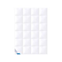 WINTERBETTDECKE EXQUISIT Gänsedaunen extra warm - Weiß, Naturmaterialien/Textil (155/220cm) - Böhmerwald