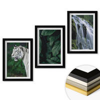 WANDBILDER 3er-Set - 20x30 cm Schwarzer Rahmen - Wasserfall aus weißen Tigerblättern - Schwarz, Kunststoff (20/30cm) - ArtPrintCave
