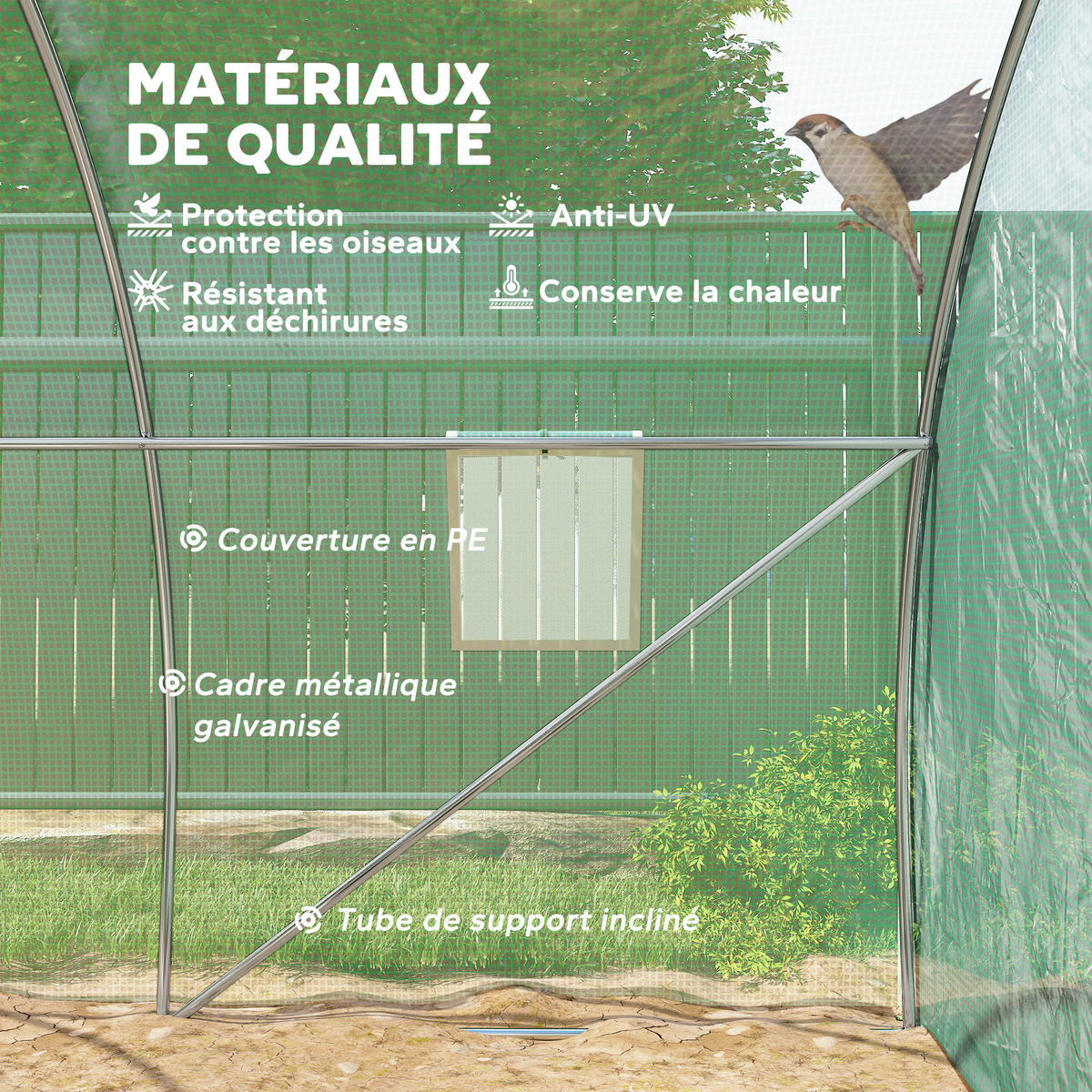 GEWÄCHSHAUS DE-12004 mit 4 Fenstern & Tür Grün - Grün, Kunststoff (300/200/300cm) - ComfortXL