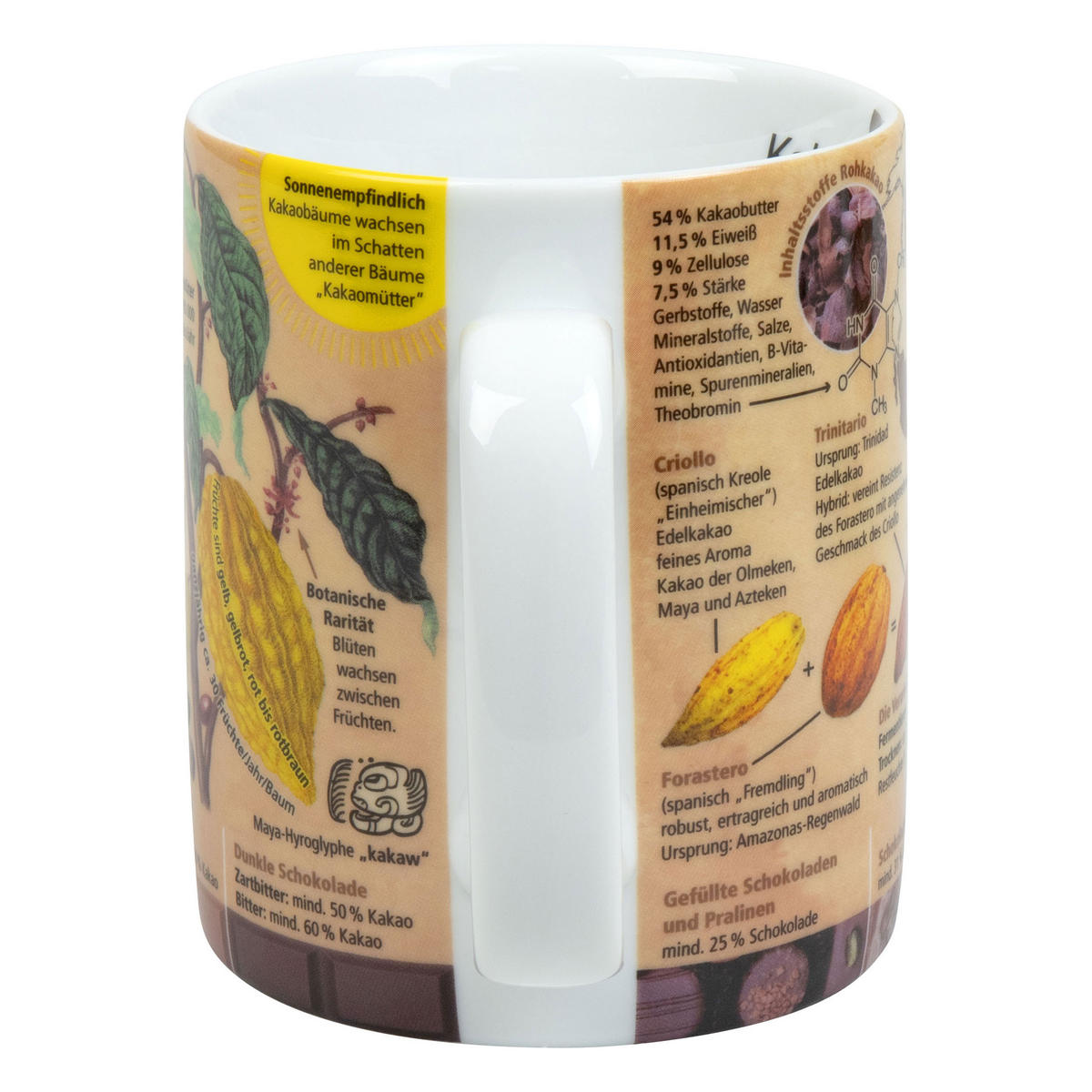 WISSENSBECHER Kakao - Naturfarben, Keramik (0.46L) - Könitz