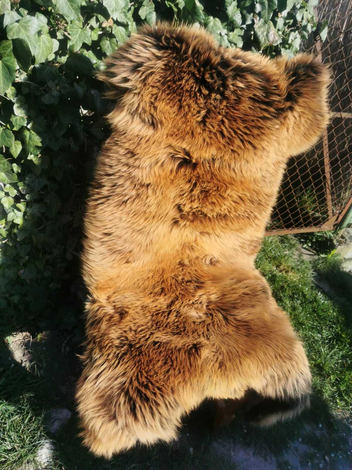 FELL Öko Lammfell Schaffell Gold Braun ca. 115 cm - Goldfarben/Braun, Fell (65/115cm) - Provellus