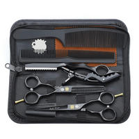 HAARSCHERE Set 14 cm 440C Edelstahl mit Geschenk-Etui - Schwarz, Metall (9.6/3.1/21.7cm)