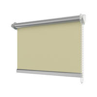 SEITENZUGROLLO / THERMOROLLO SZ3 60x175 cm, Beige (3007) Verdunkelung - Beige, Textil (60/175/6cm) - INTERDECO