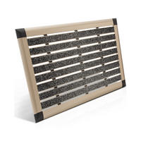 ALU-FUSSMATTE AluGant - Champagner, Metall (60/40cm) - BoMoe