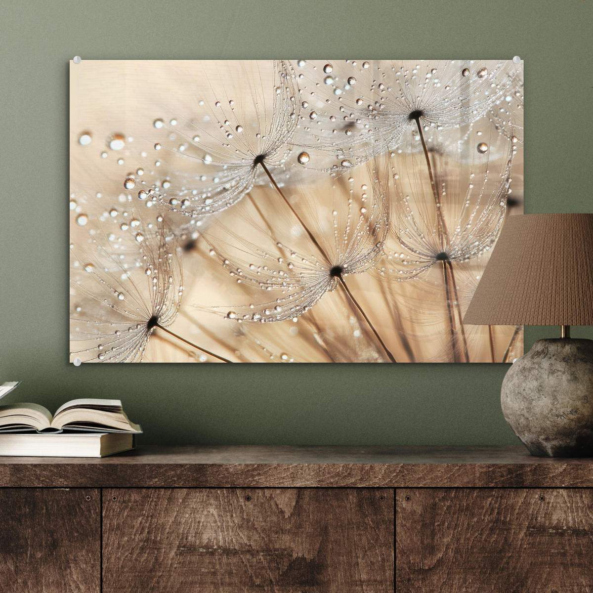 ACRYLGLASBILD Löwenzahn - Abstrakt - Natur - Beige 60x40 cm - Braun, Glas (60/40cm) - MuchoWow