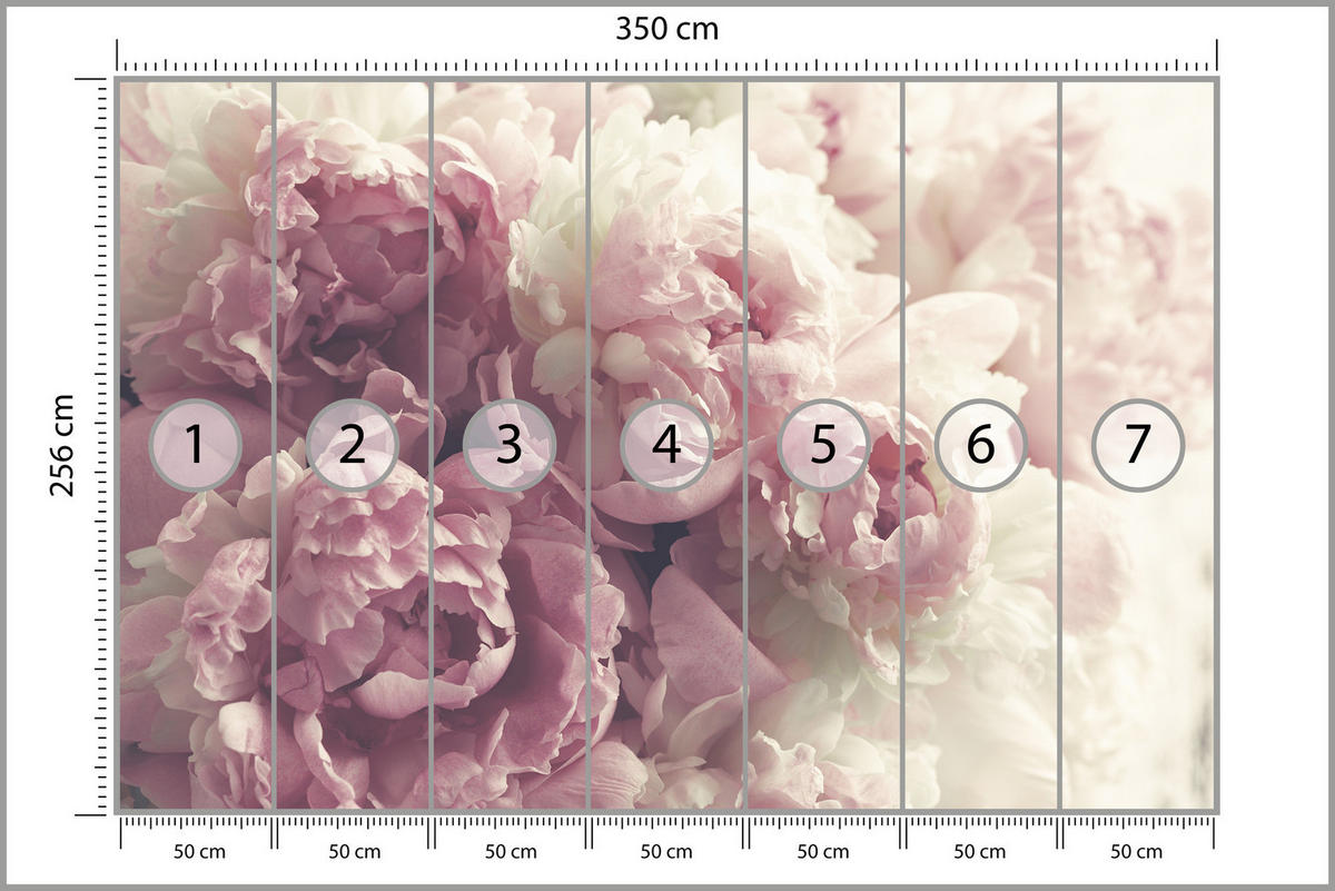 FOTOTAPETE Vintage-Pfingstrosen Blumen 3D 350x256 - Beige/Rosa, Papier (350/256cm) - Muralo