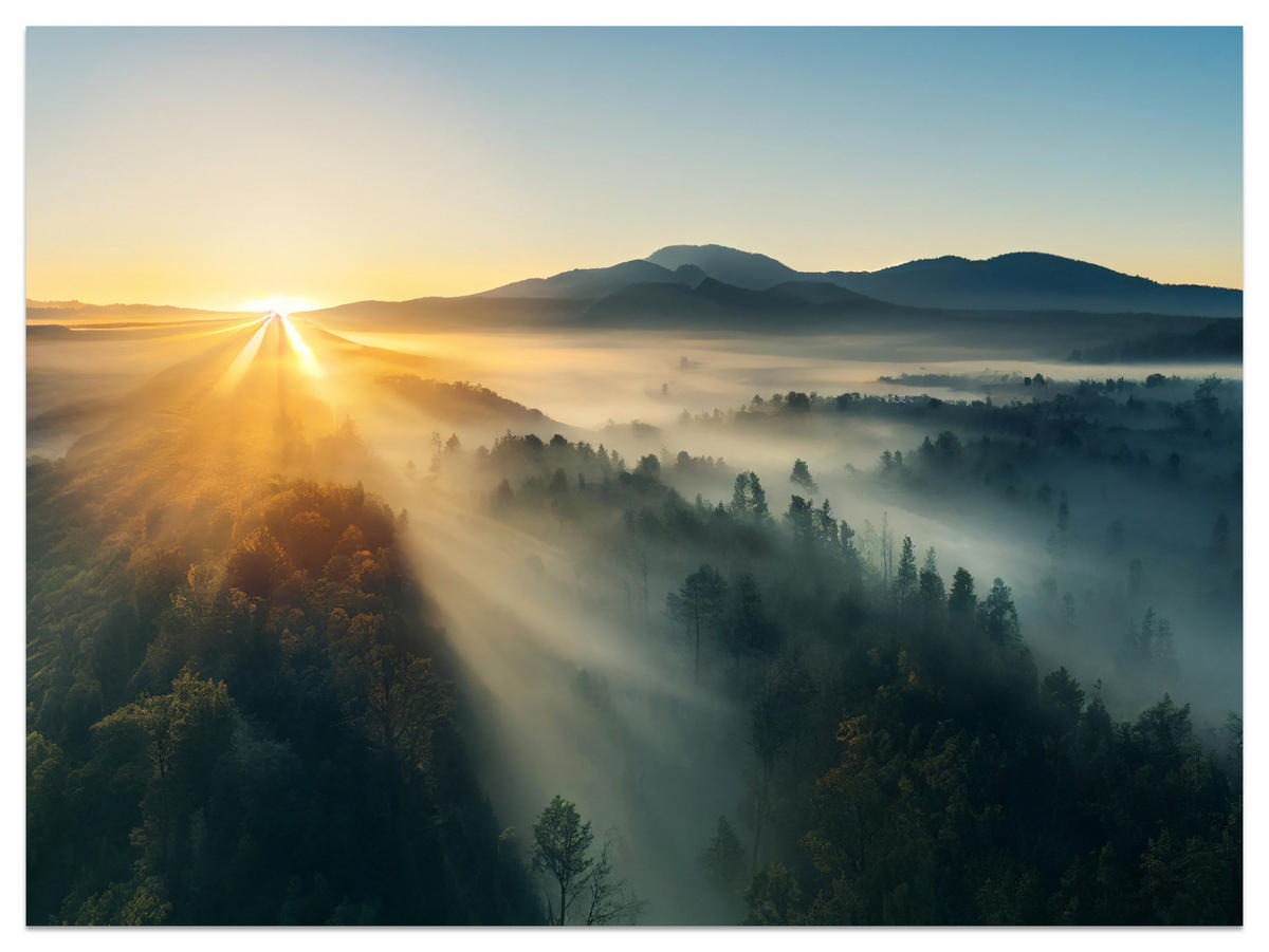 FOTOTAPETA Pre Obývaciu Izbu Východ Slnka Nad Hornatým Ihličnatým Lesom Zlato 500 x 350 cm - hnedá/žltá, papier (500/350cm) - Muralo