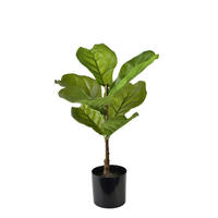 KUNSTBLUME Viridis Grün 13x13x56 cm Kunststoff - Grün, Kunststoff (56cm) - Mondex