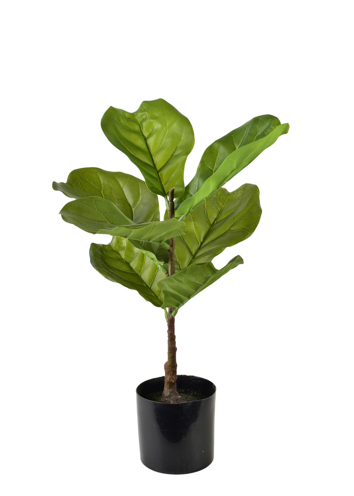 KUNSTBLUME Viridis Grün 13x13x56 cm Kunststoff - Grün, Kunststoff (56cm) - Mondex