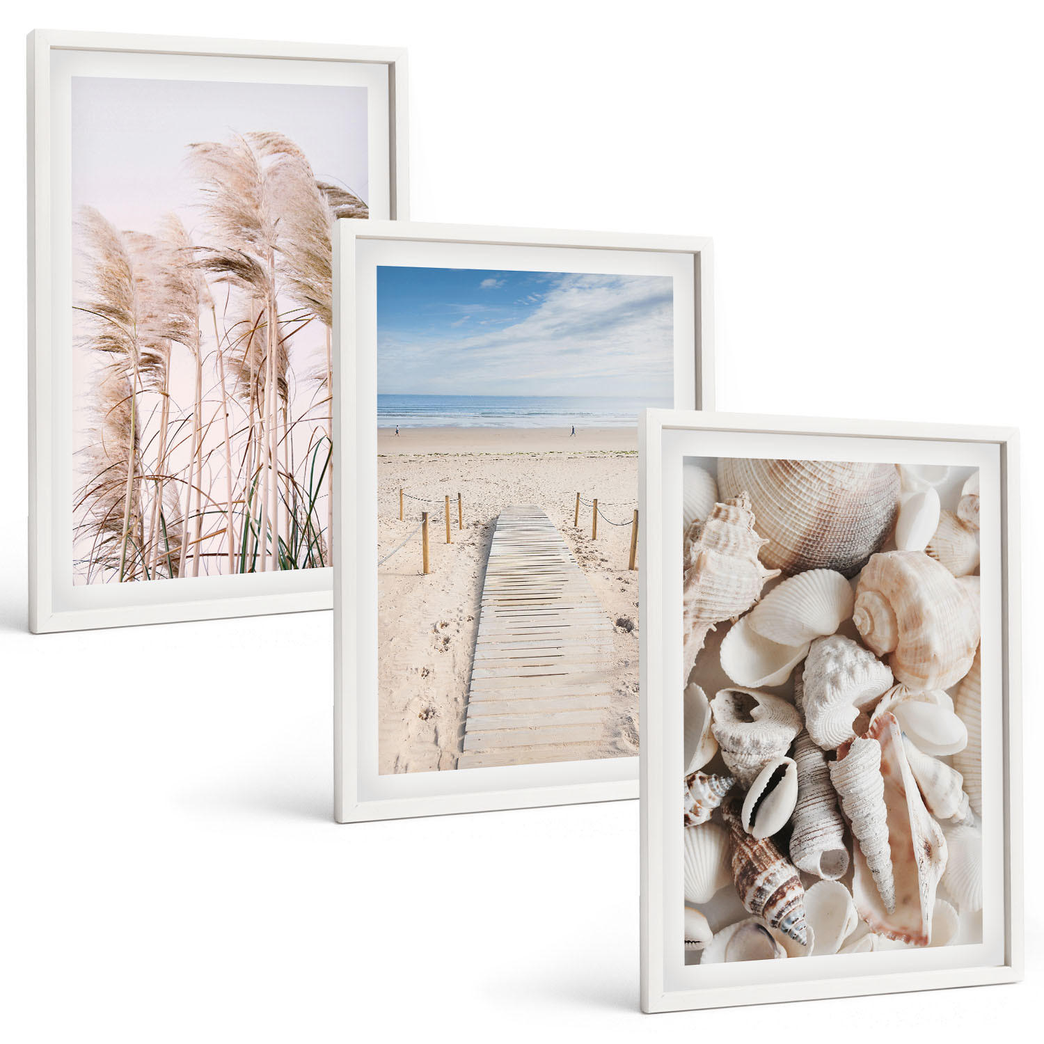 BILDER SET 3er Set - 40x60 cm Weißer Rahmen - Strandmuscheln Seegras - Weiß, Kunststoff (40/60cm) - TULUP