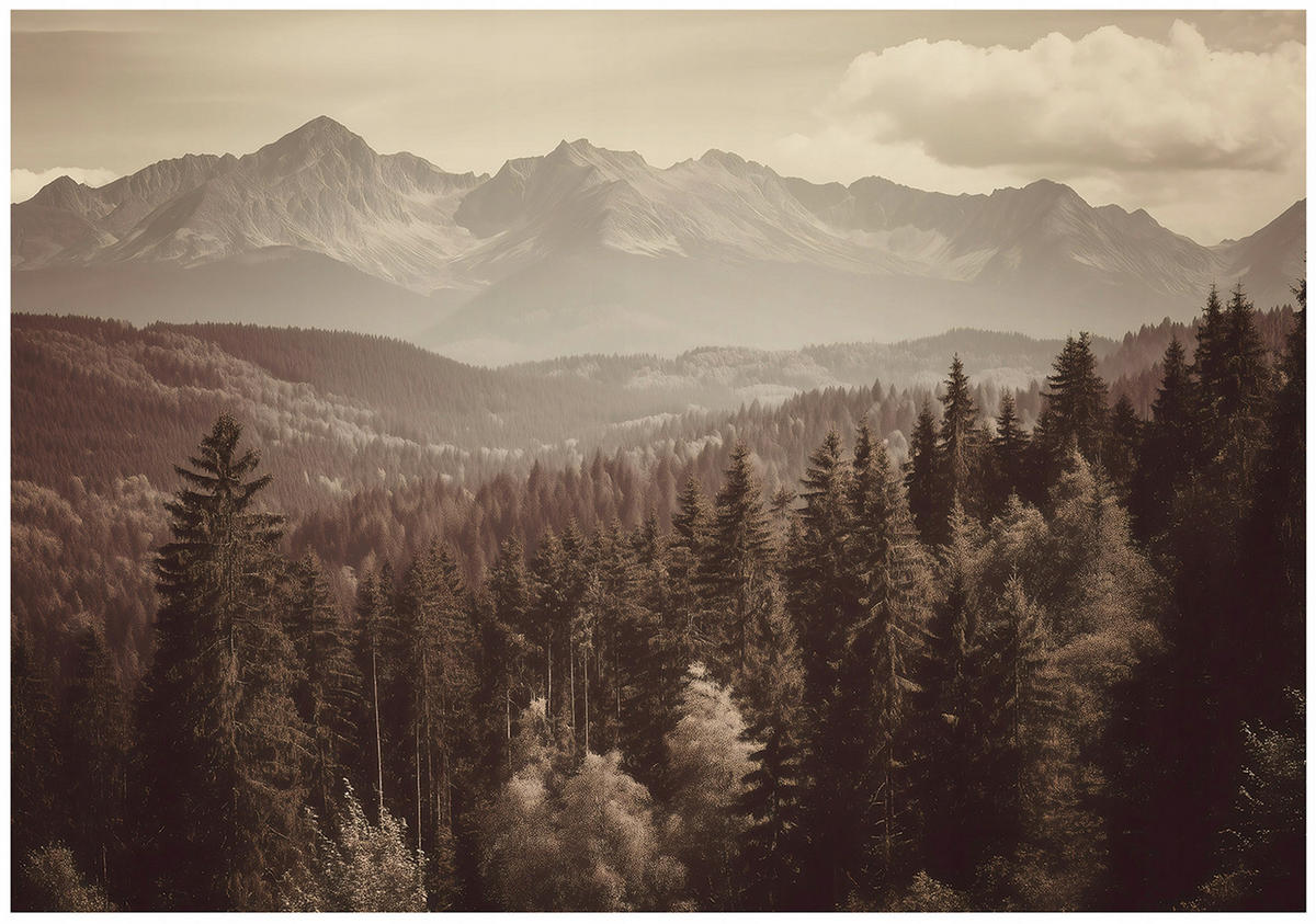 FOTOTAPETE Wald Natur Braun 200x140 cm - Multicolor, Papier (200/140cm) - Wallarena