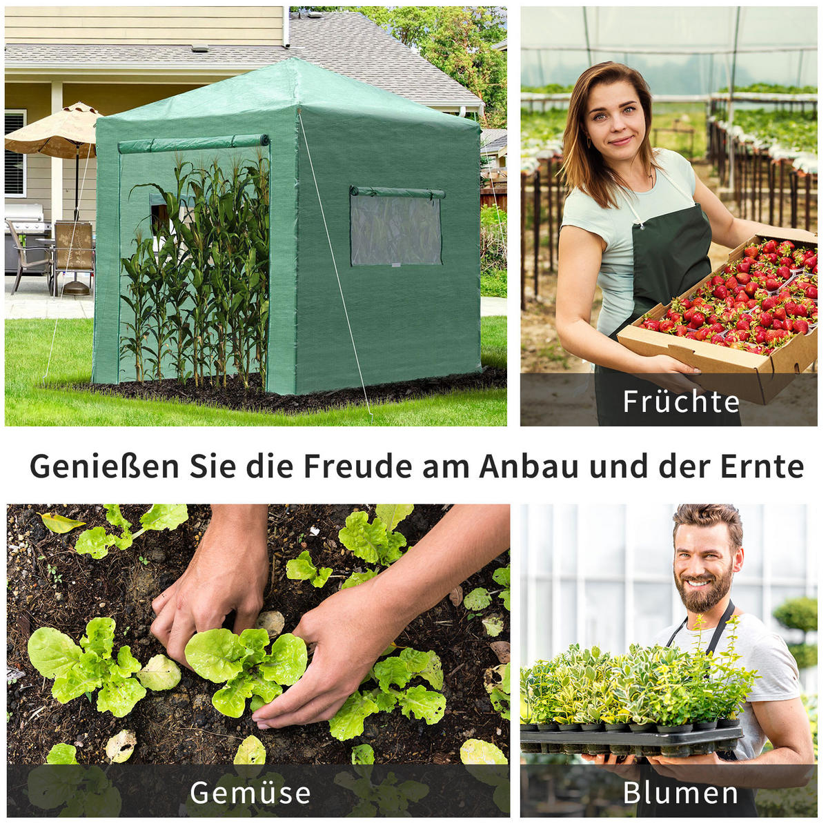 GEWÄCHSHAUS Treibhaus Tomatenhaus Frühbeet mit Tür und Fenster, Stahl, PE, Dunkelgrün - Grün, Kunststoff/Metall (178/240/238cm) - Outsunny