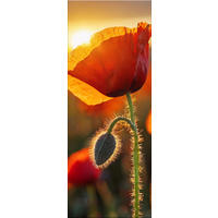 GLASBILD 30x80 cm Blumen rot - Rot, Glas (30/80cm) - artissimo