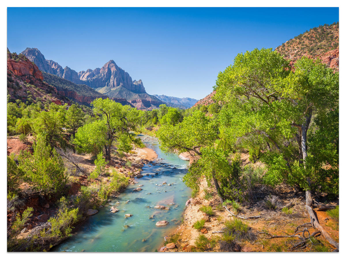 FOTOTAPETE für Esszimmer Virgin River Bäume Felsen Berge Natur 400x280 - Türkis/Blau, Papier (400/280cm) - Muralo