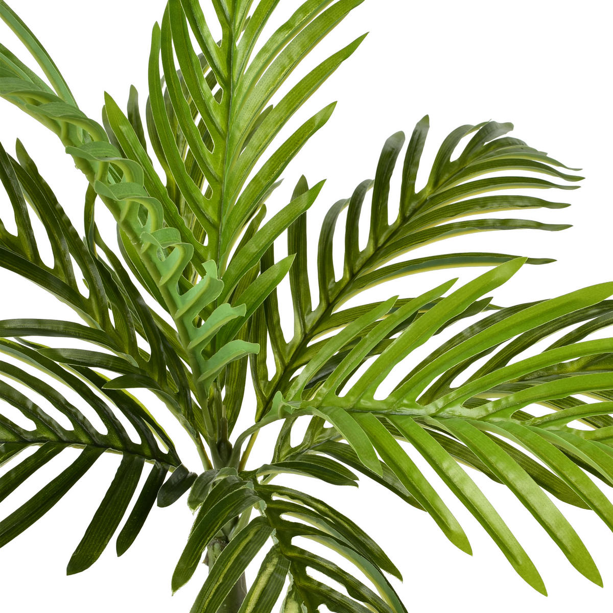 KUNSTBLUME Viridis Grün 13x12x57 cm Kunststoff - Grün, Kunststoff (57cm) - Mondex