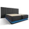 POLSTERBETT 160x200cm Doppelbett mit App LED & USB-C Stauraum Grau - Grau, Holz - FLIEKS