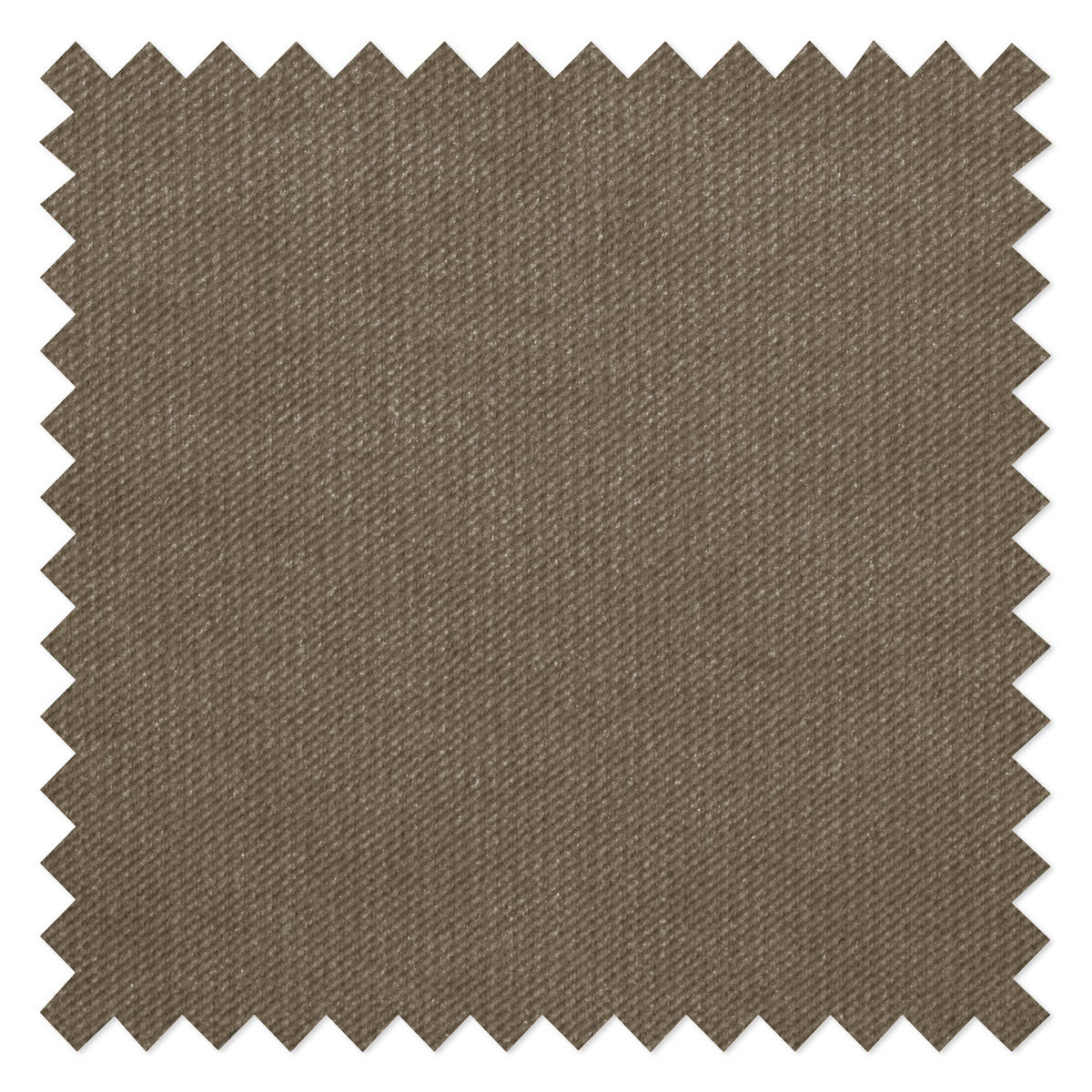 3-SITZER SOFA - Samt - Hellbraun, Textil (250/93/100cm) - home24